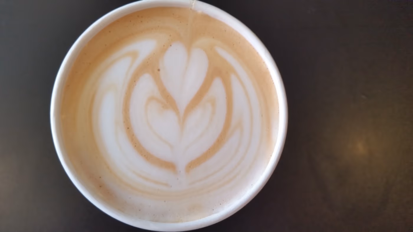 392Caffe photo 4