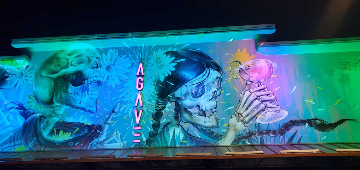 Agave Bandido