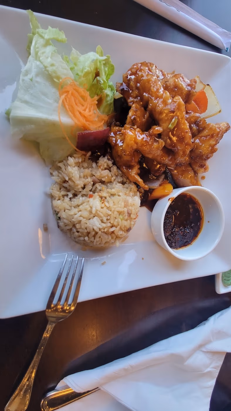 Akina Sushi & Asian Food Bistro photo 3