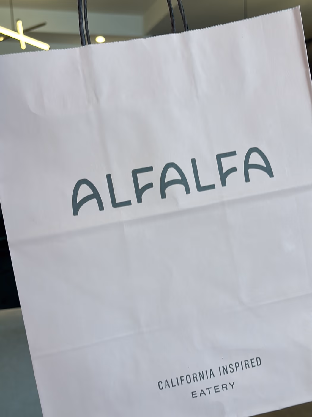 Alfalfa photo 2