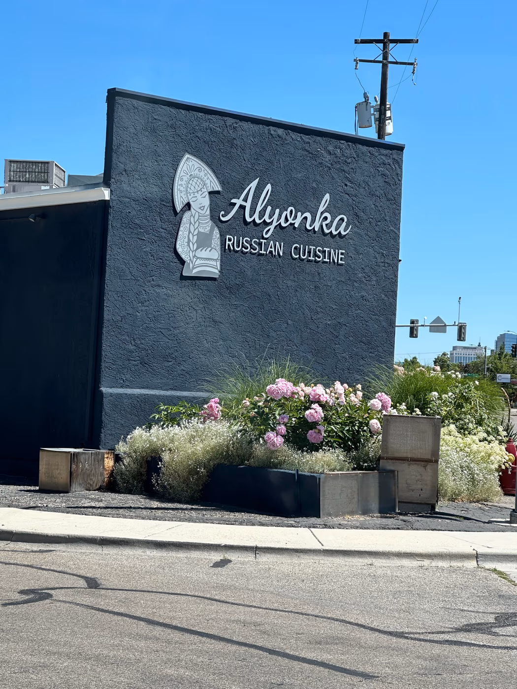 Alyonka Russian Cuisine
