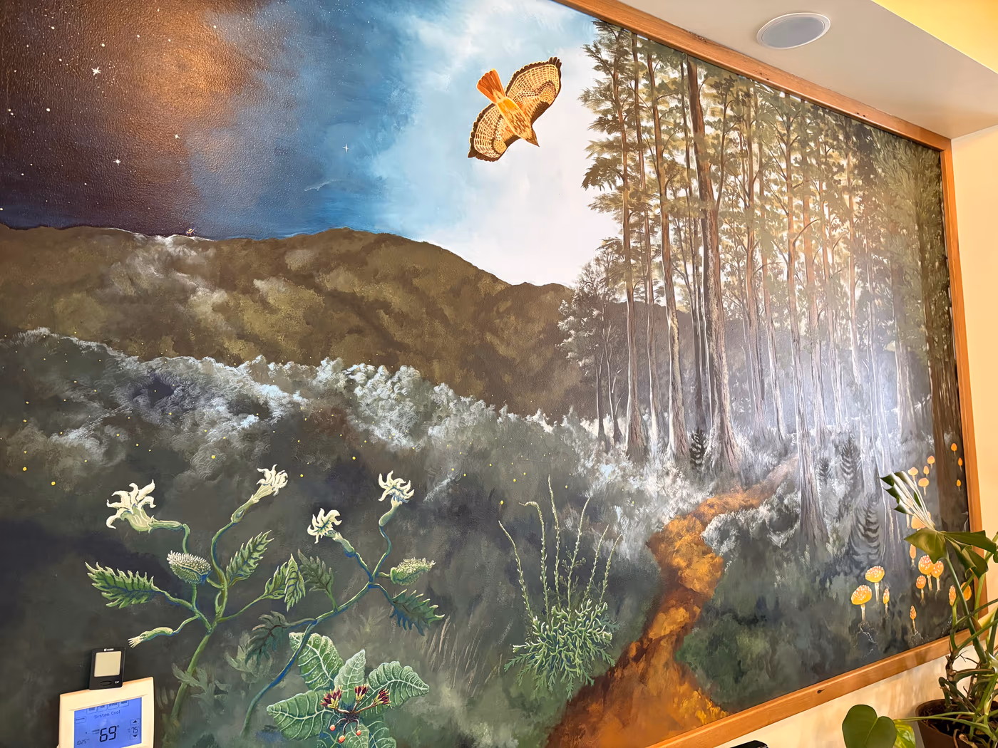 Amanita Cafe photo 3