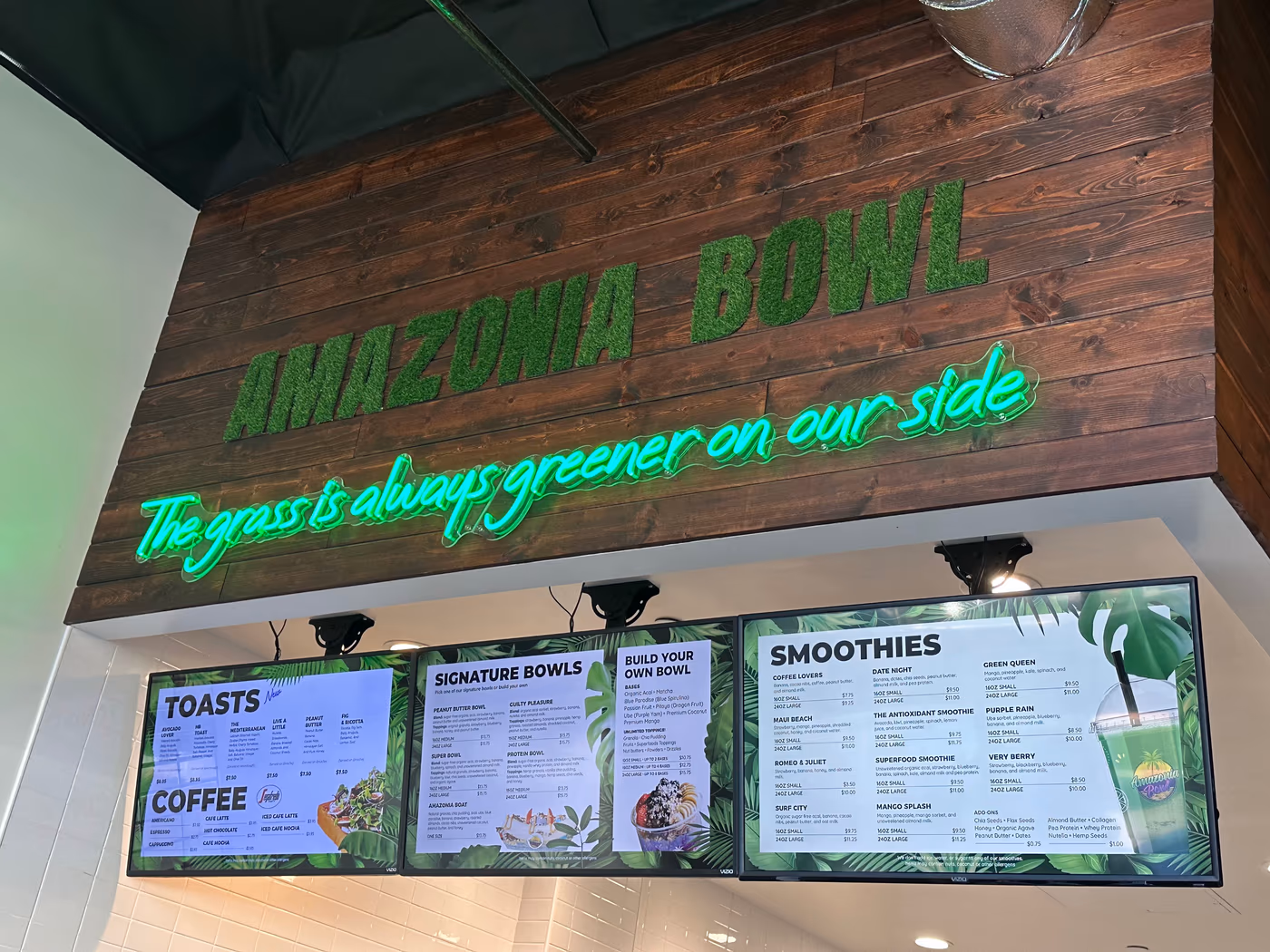 Amazonia Bowl photo 3