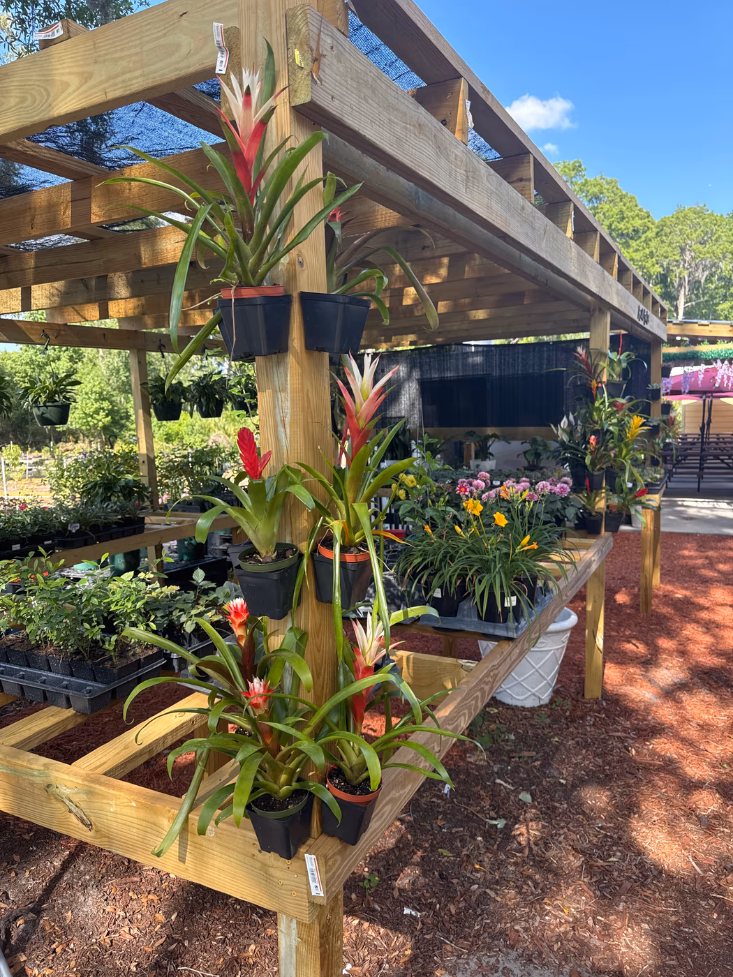 Amie’s Garden Cafe photo 2