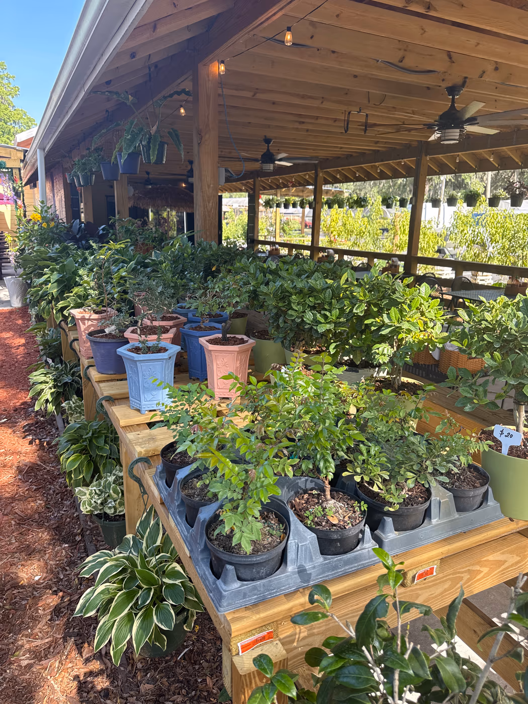 Amie’s Garden Cafe photo 3