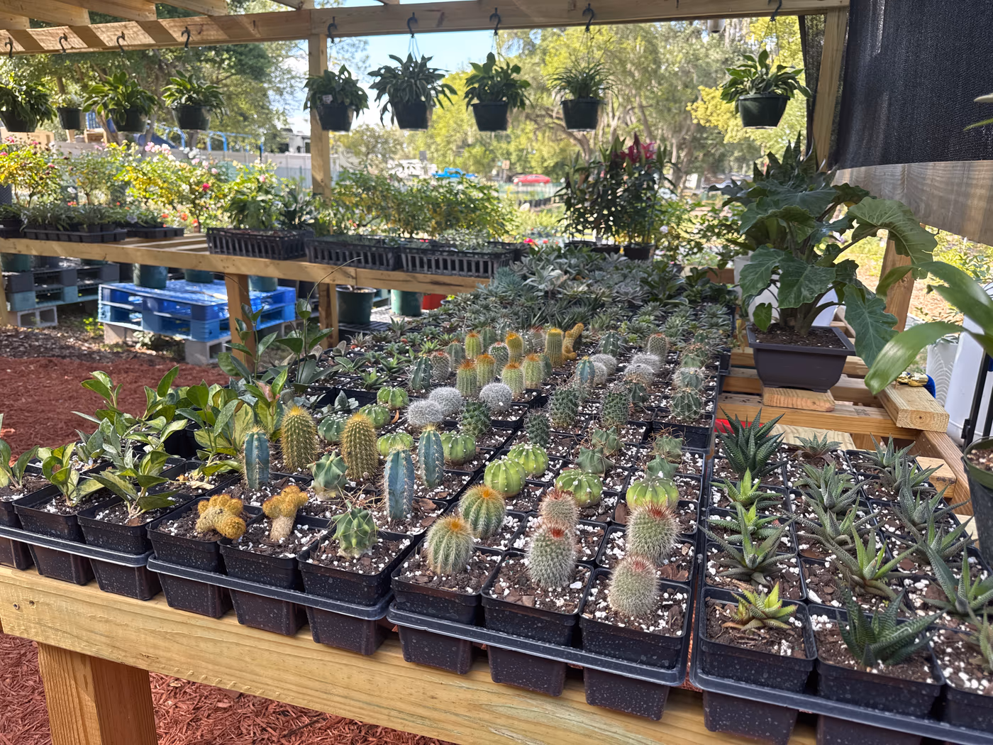 Amie’s Garden Cafe photo 4