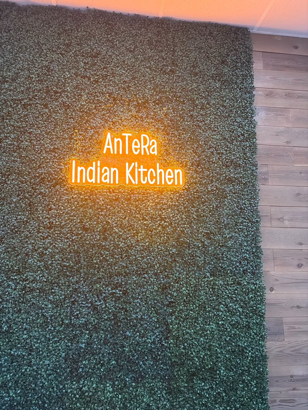 AnTeRa Indian Kitchen