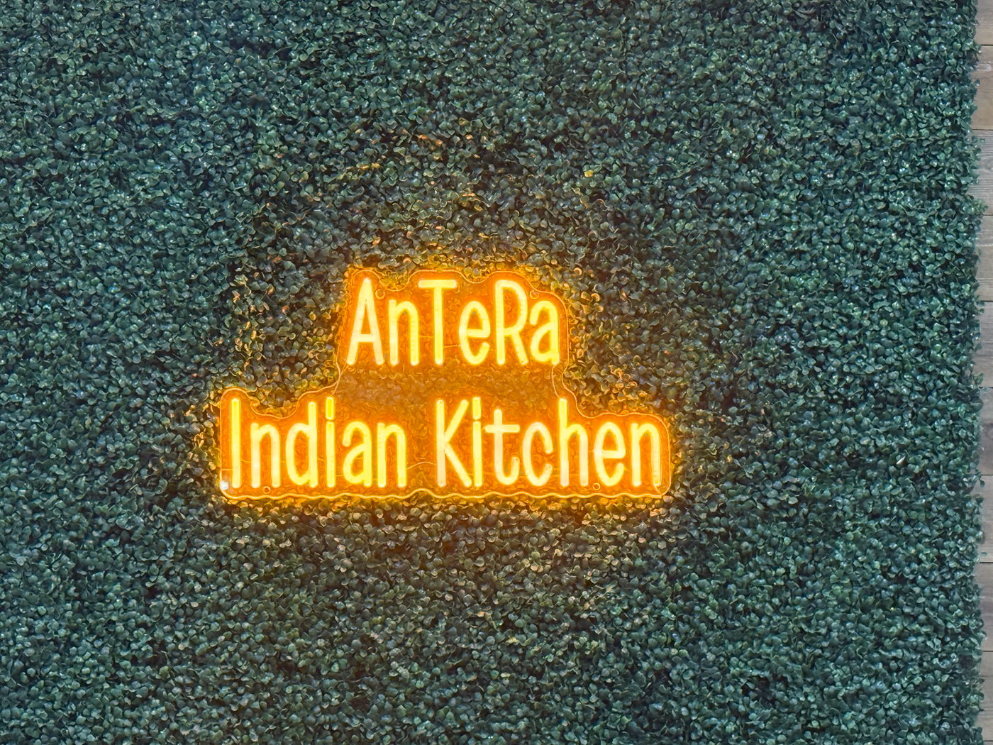 AnTeRa Indian Kitchen photo 2