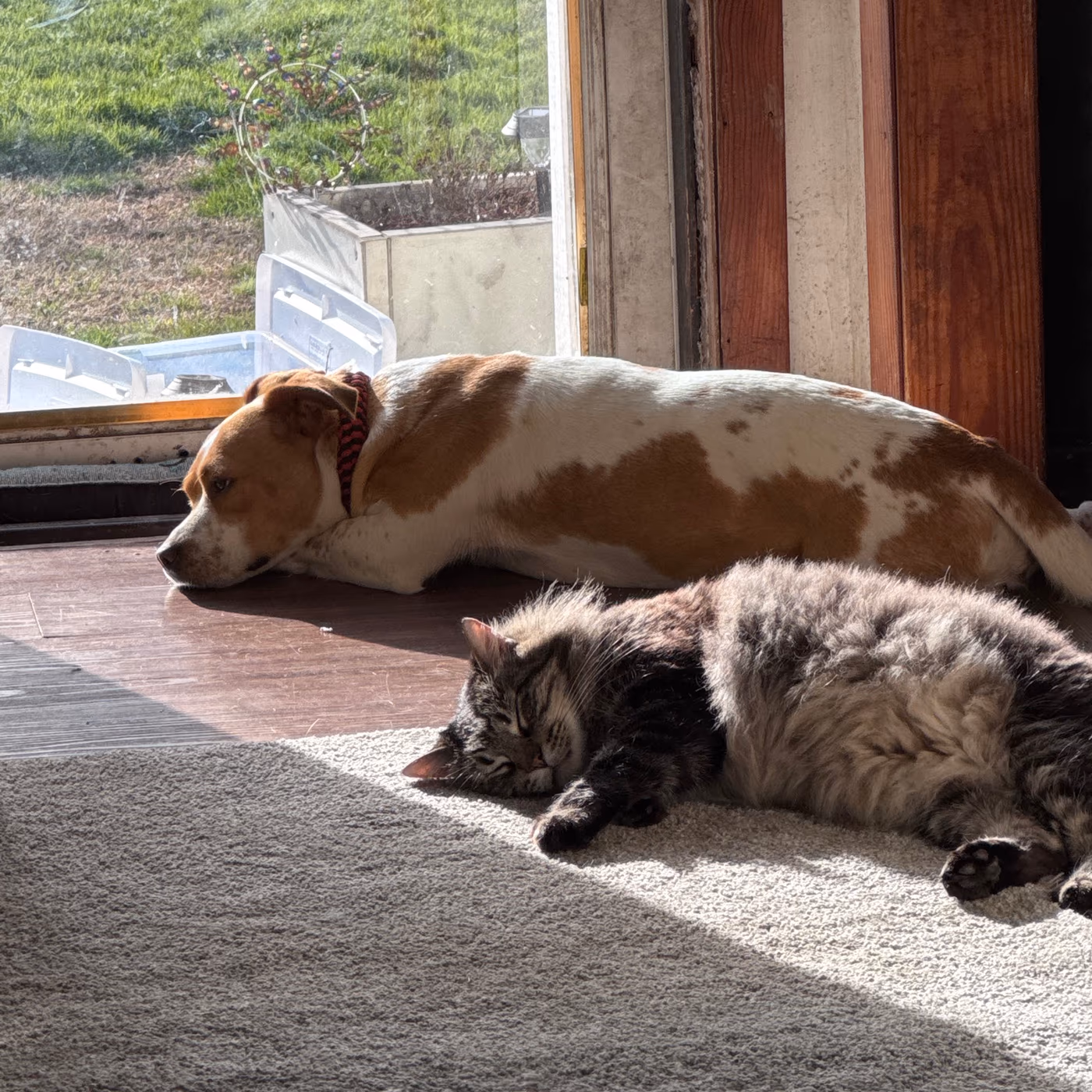 Applebee's Grill + Bar