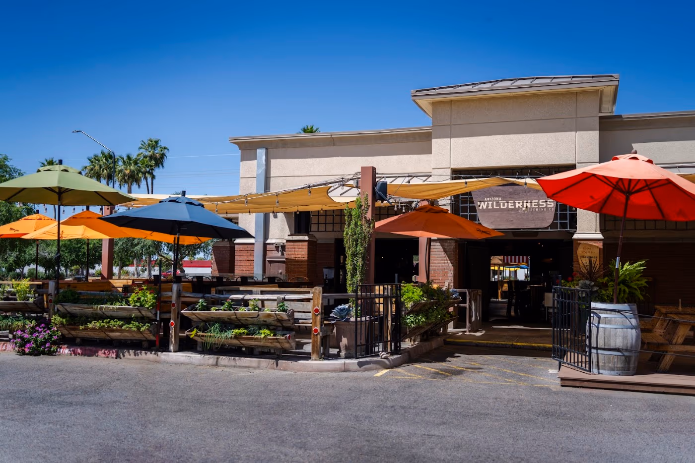 Arizona Wilderness Gilbert Brewpub photo 3