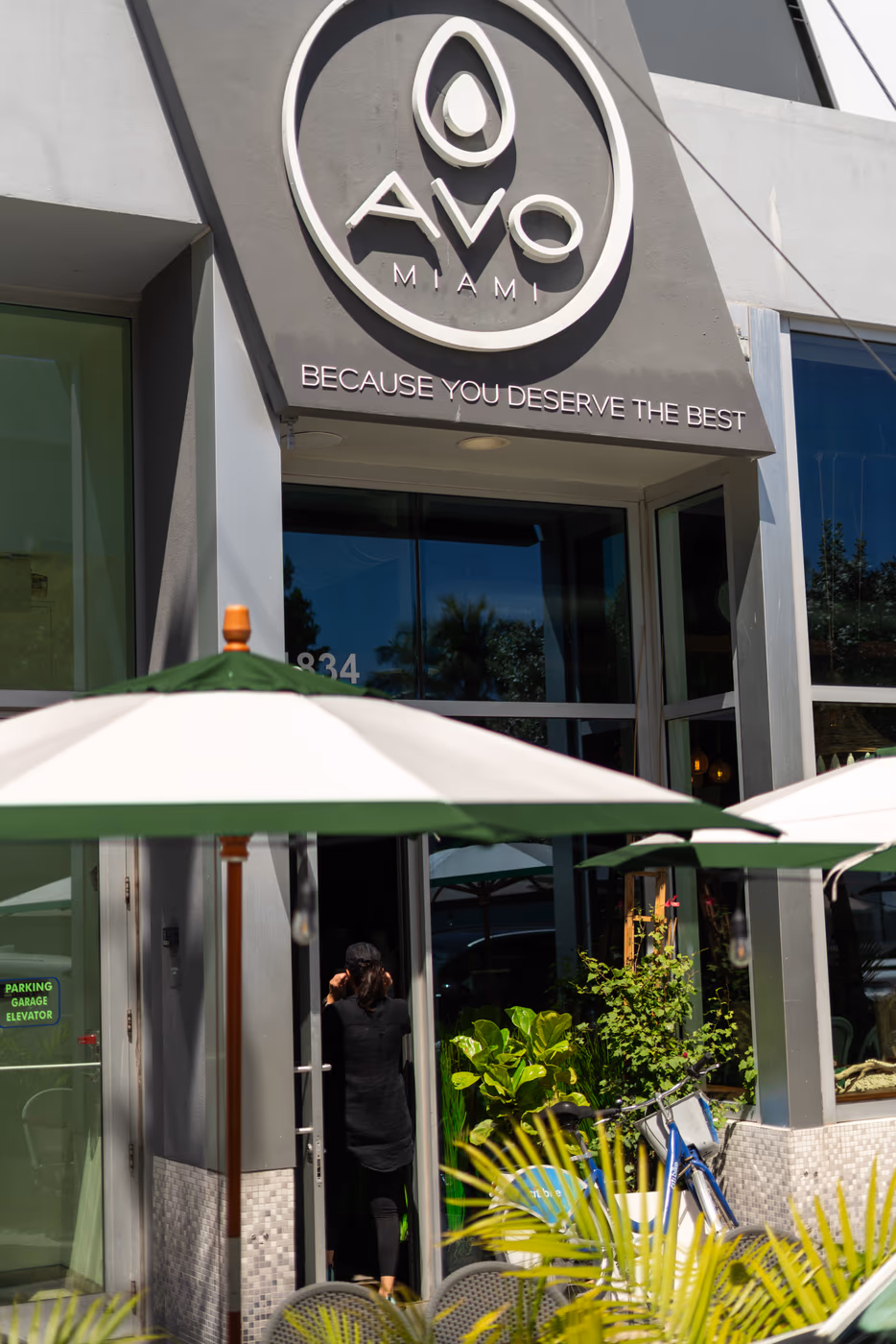 Avo Miami