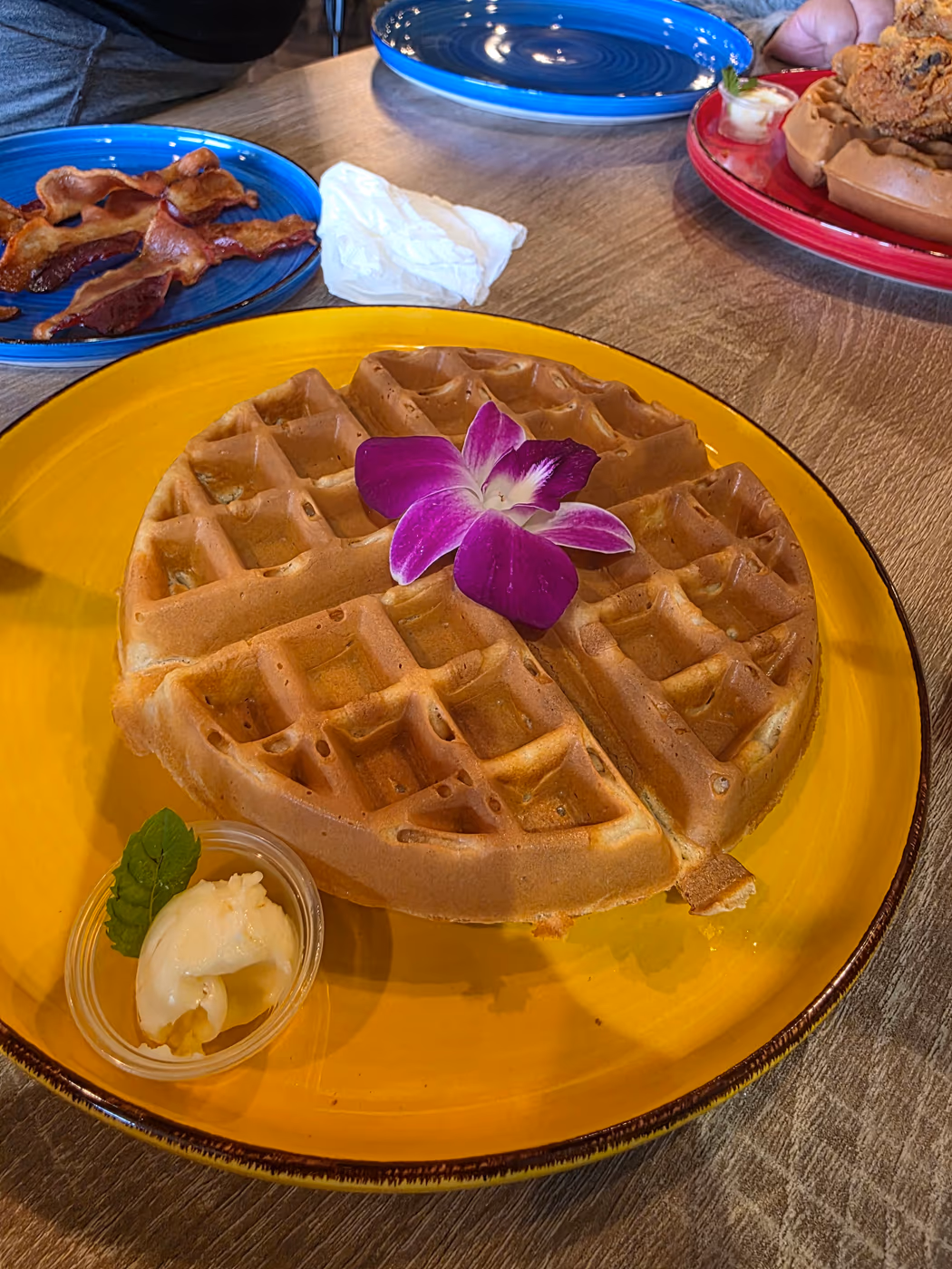 Babs Delta Diner in Glen Cove photo 3