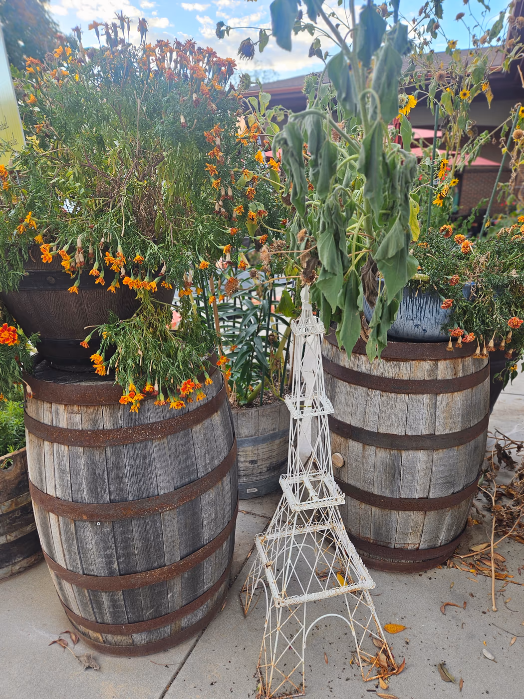 Bacquet's Restaurant photo 3