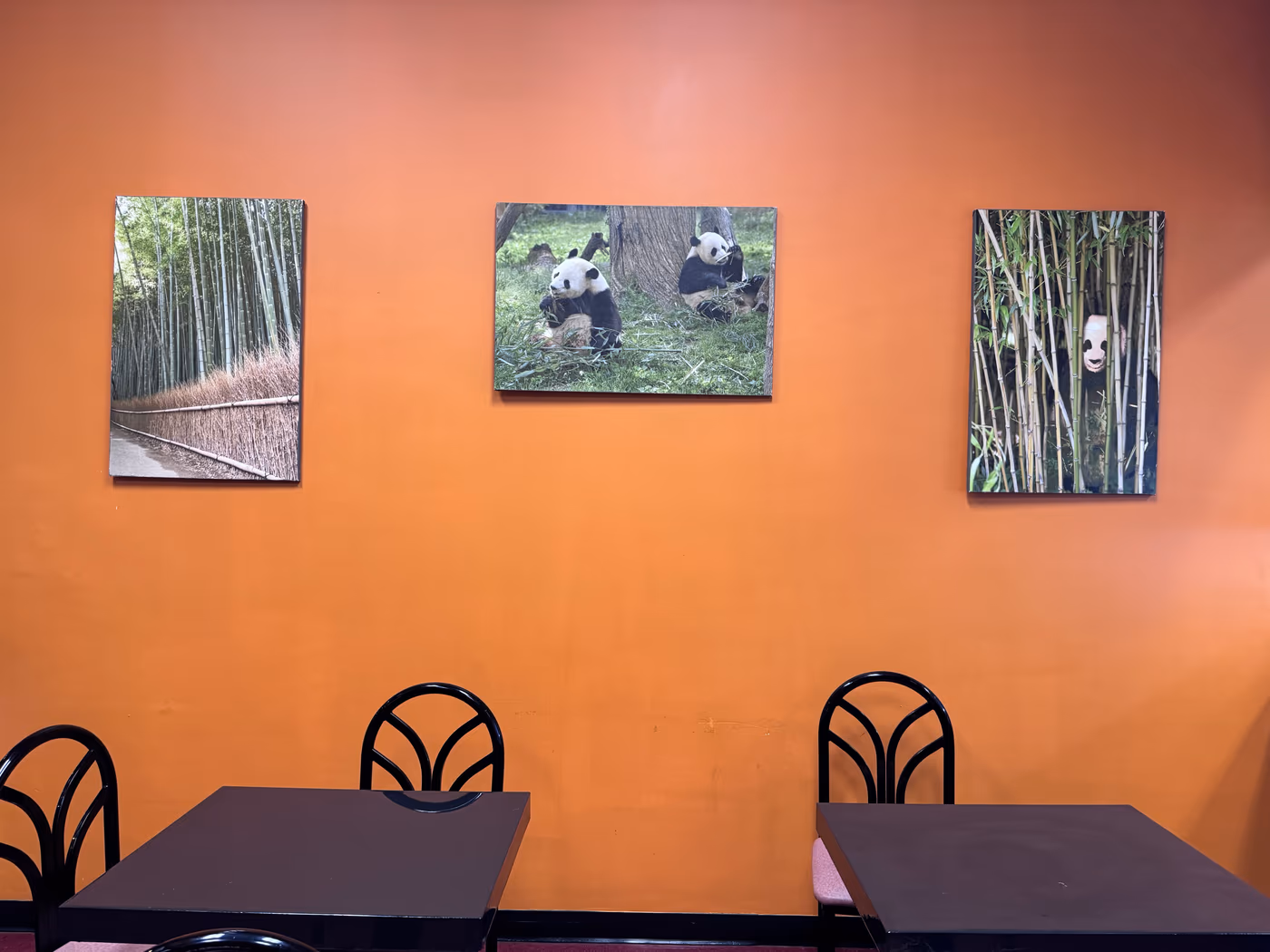 Bambu photo 4