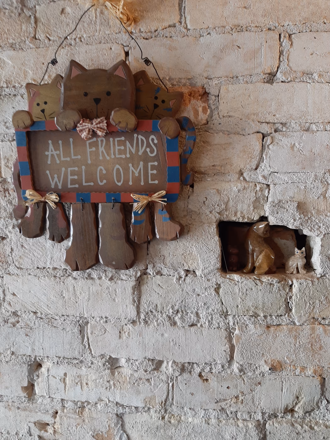 BaristaCats Café & Sanctuary for Wayward Cats photo 2