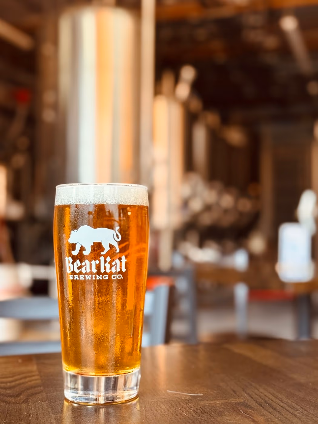 BearKat Brewing Company photo 4