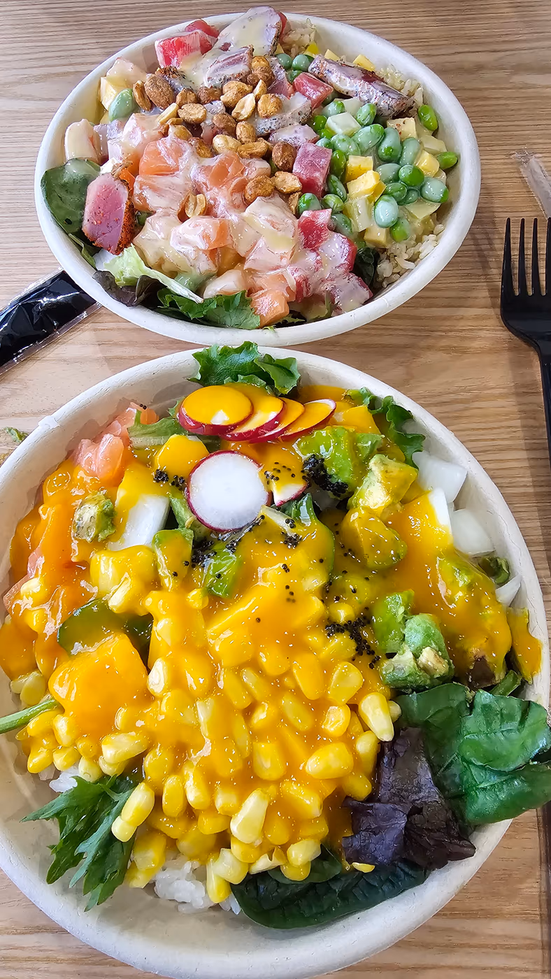 Bento bowls photo 2