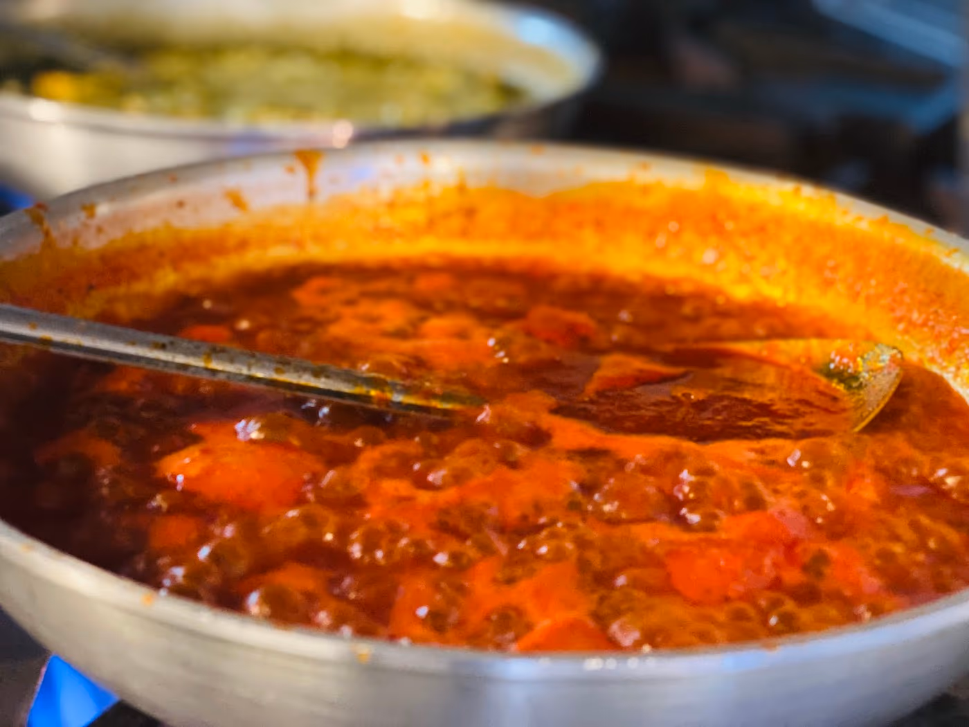 BHANSA Restaurant | Indian photo 4