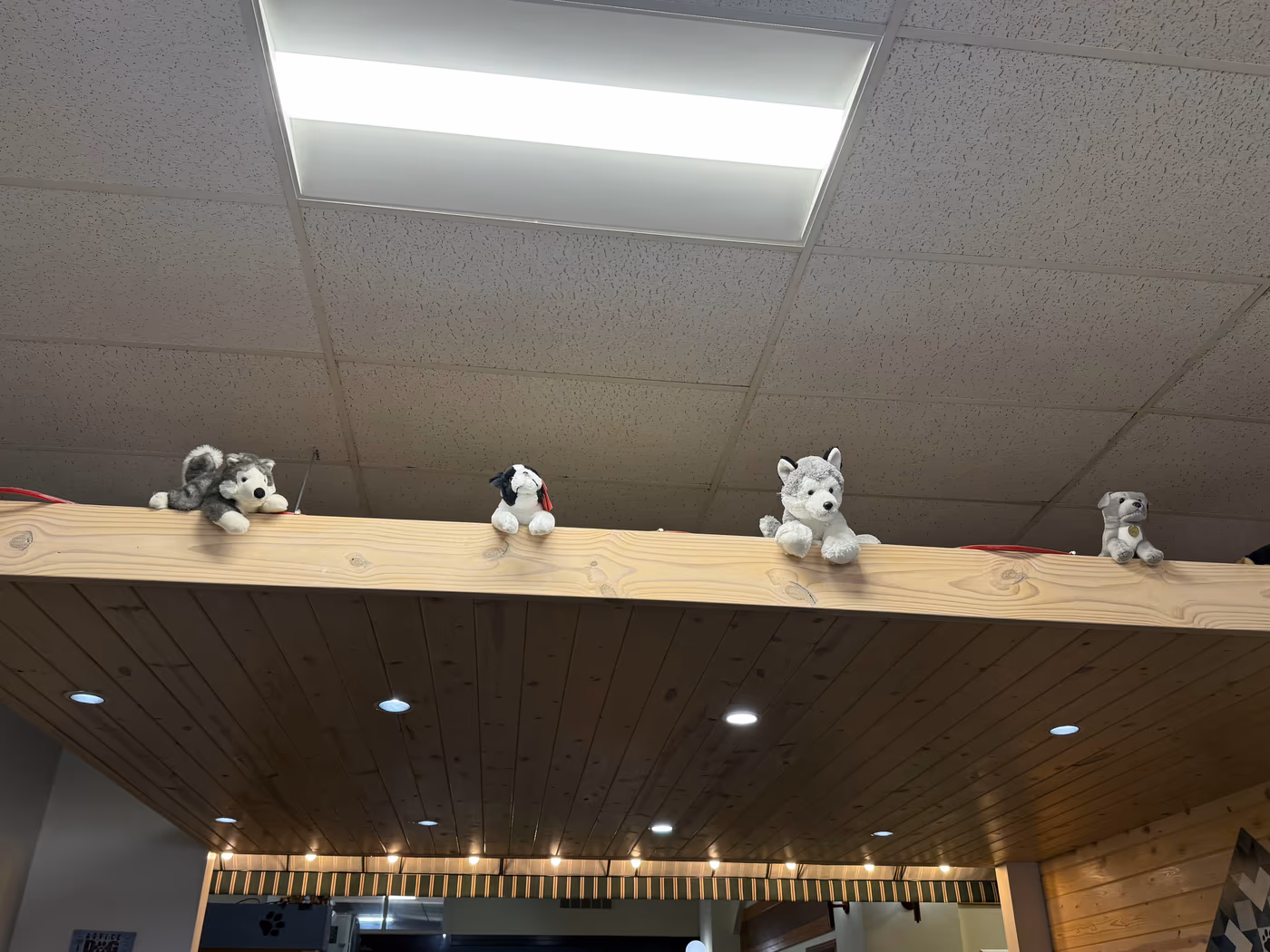Big Dog Cafe photo 4