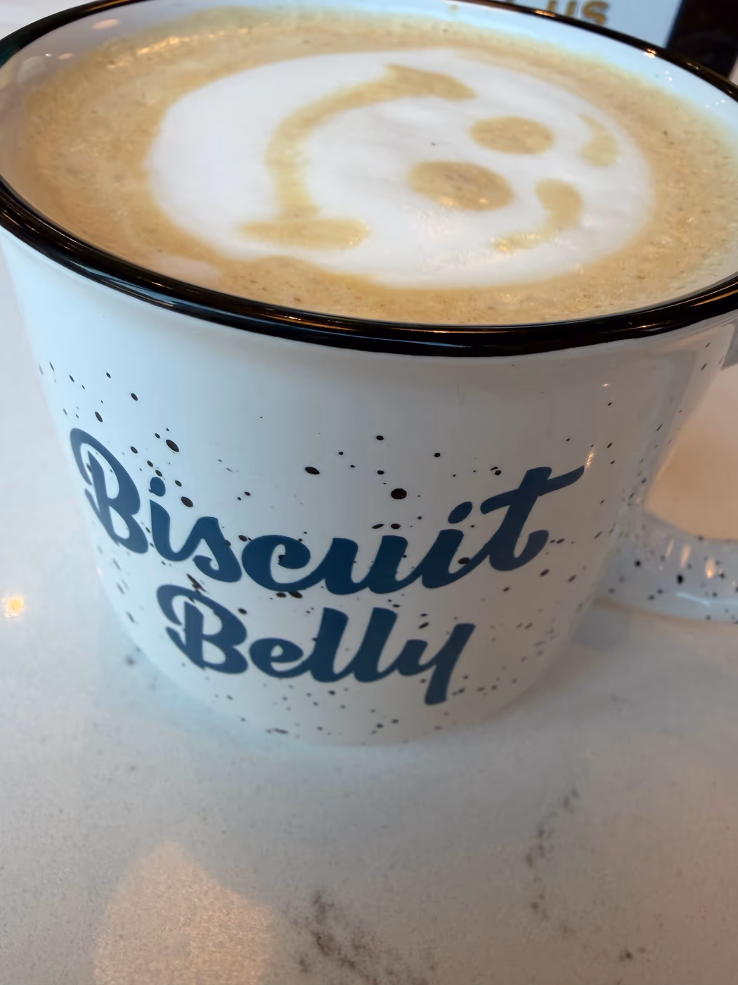 Biscuit Belly photo 4