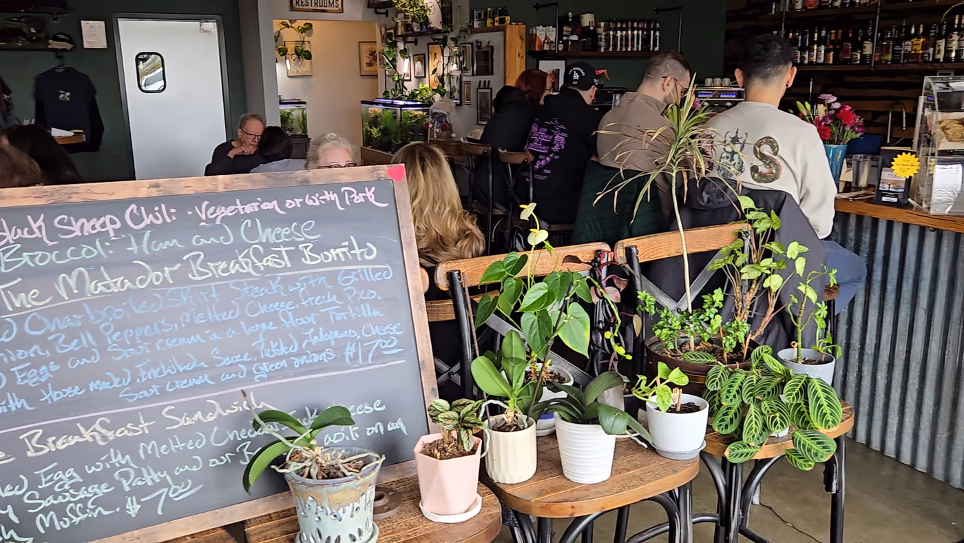 Black Sheep Cafe & Catering