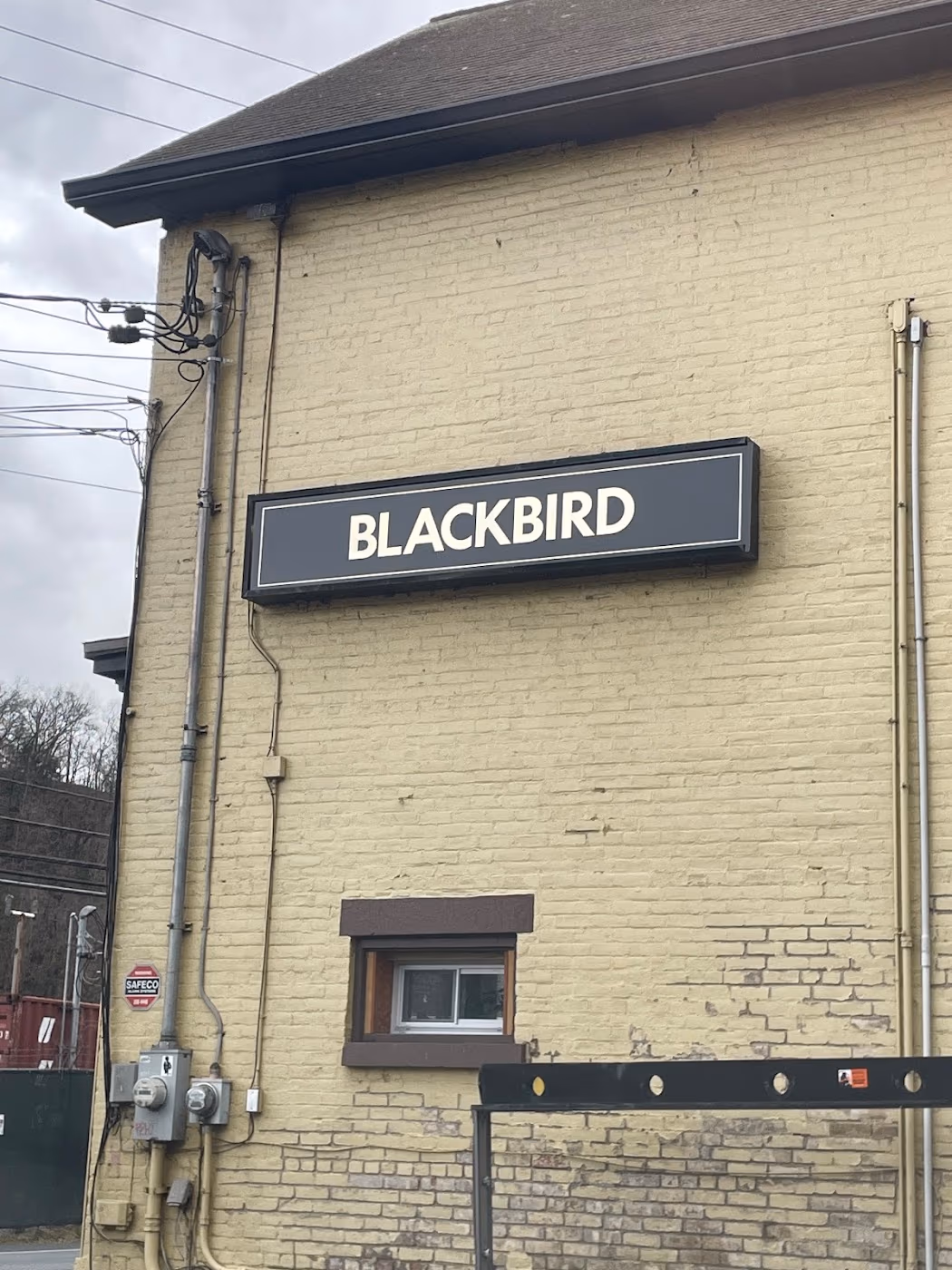 Blackbird Infoshop photo 3