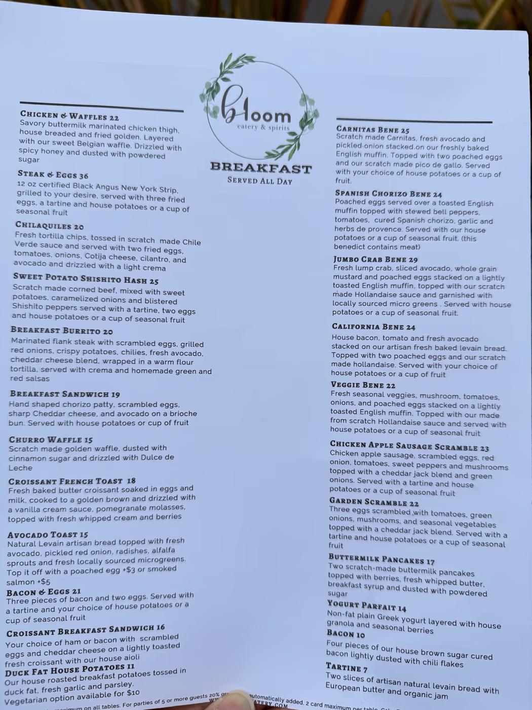 Bloom photo 3
