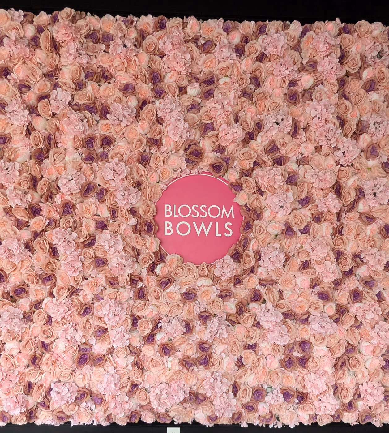 Blossom Bowls | North Knoxville photo 2