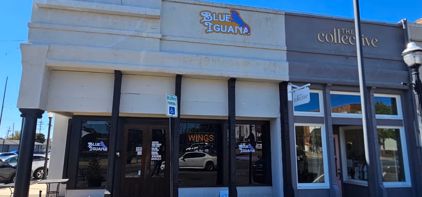 Blue Iguana photo 4