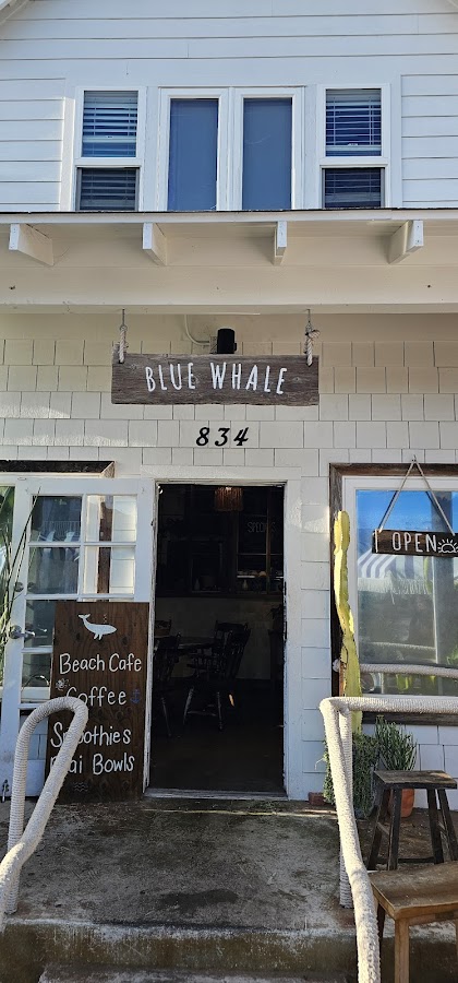 Blue Whale