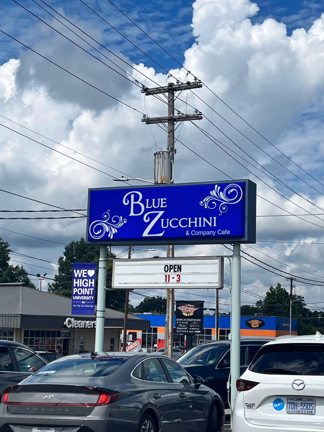 Blue Zucchini