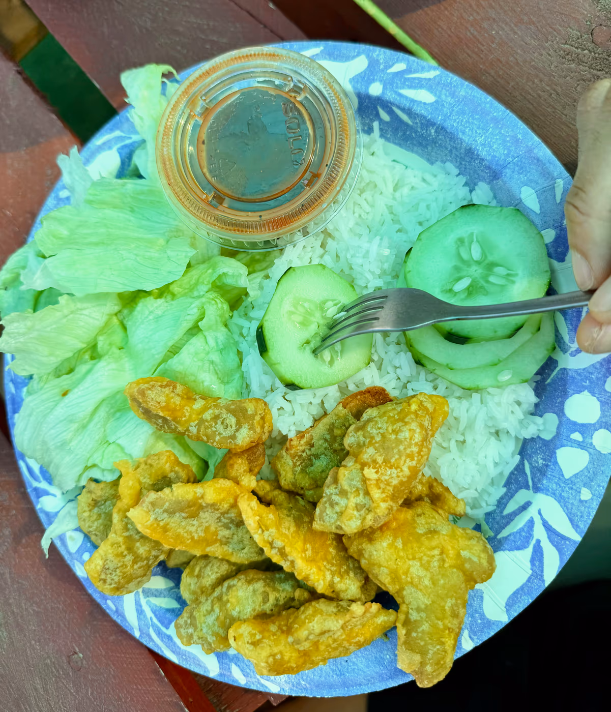 Bodhi Viet Veggie Cuisine photo 4