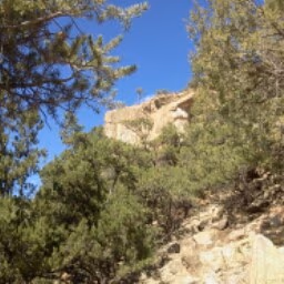 Boulder Dam Brewing Co. photo 4