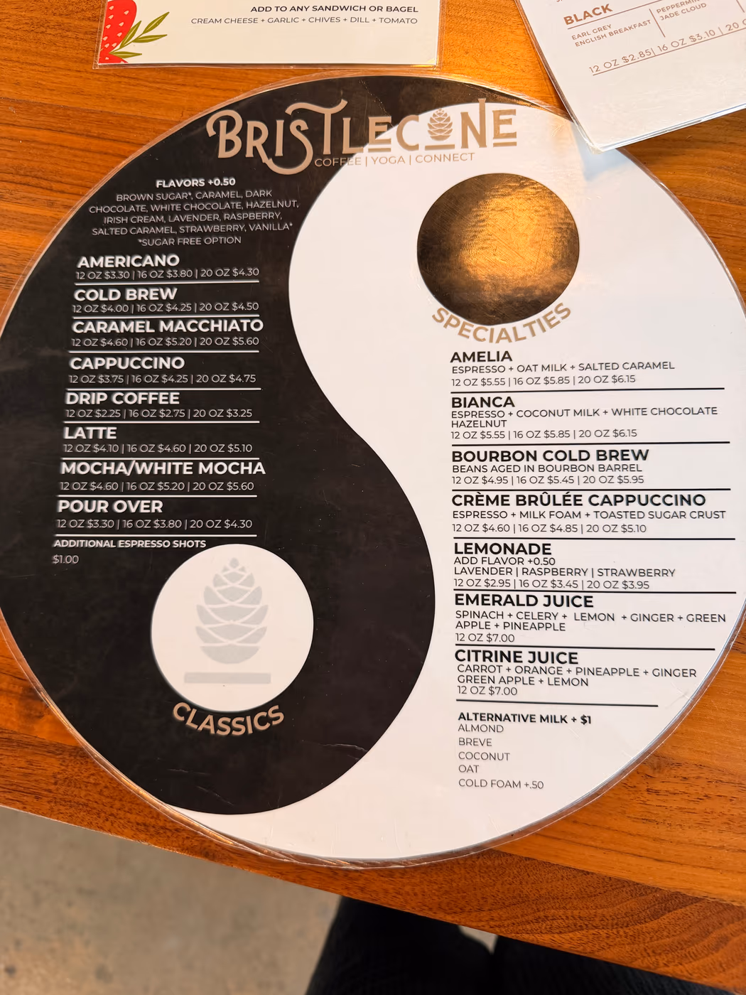Bristlecone photo 2