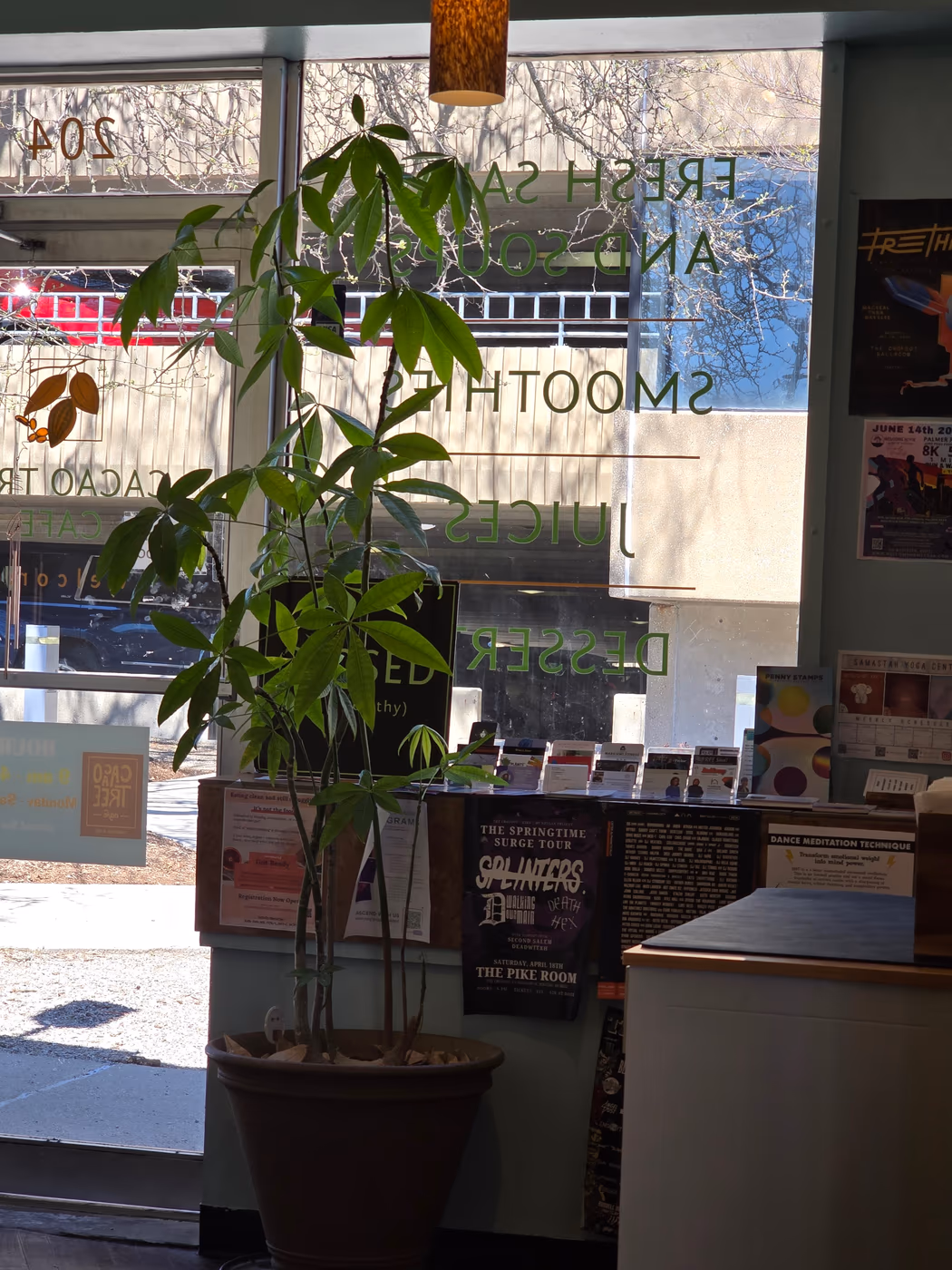 Cacao Tree Café