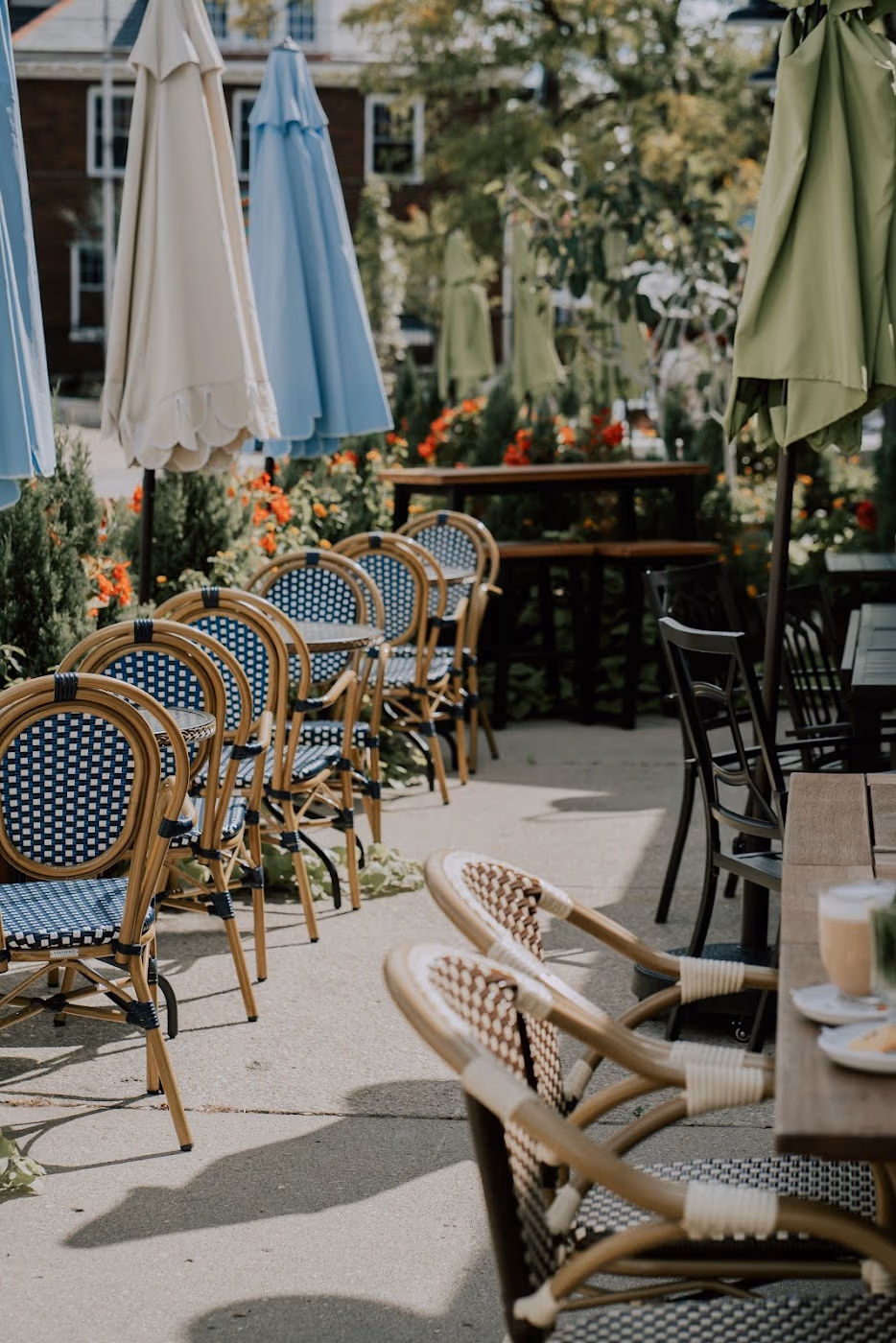 Café Alma photo 4