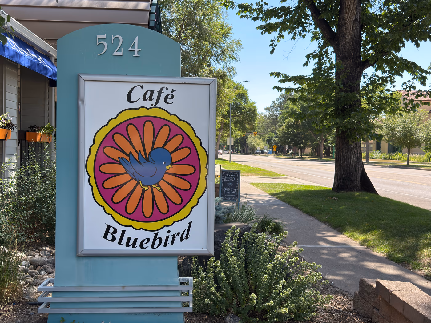 Cafe Bluebird