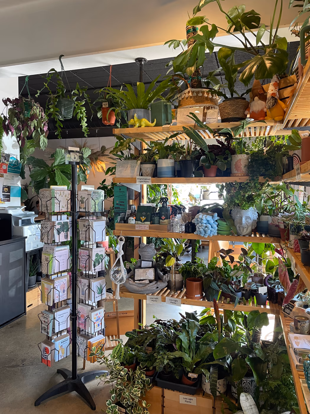 Cafe Conmigo photo 3