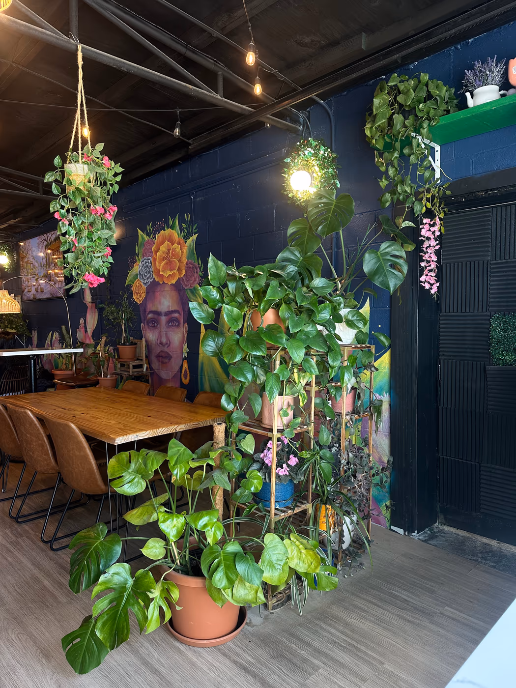 Cafe Frida photo 2