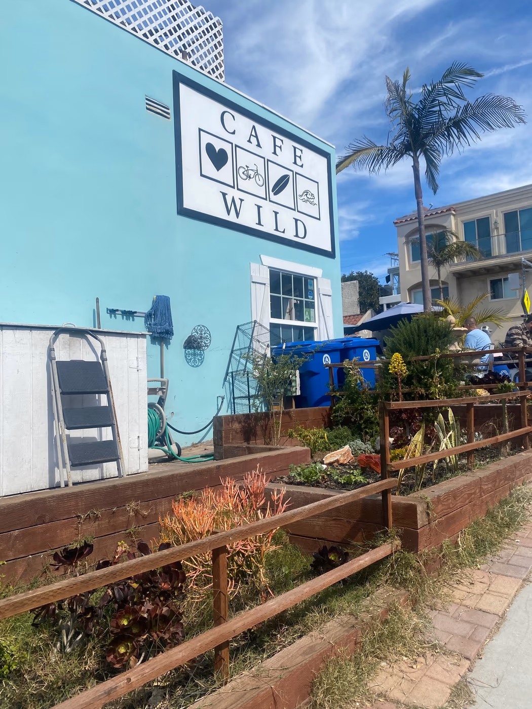 Cafe Wild photo 3