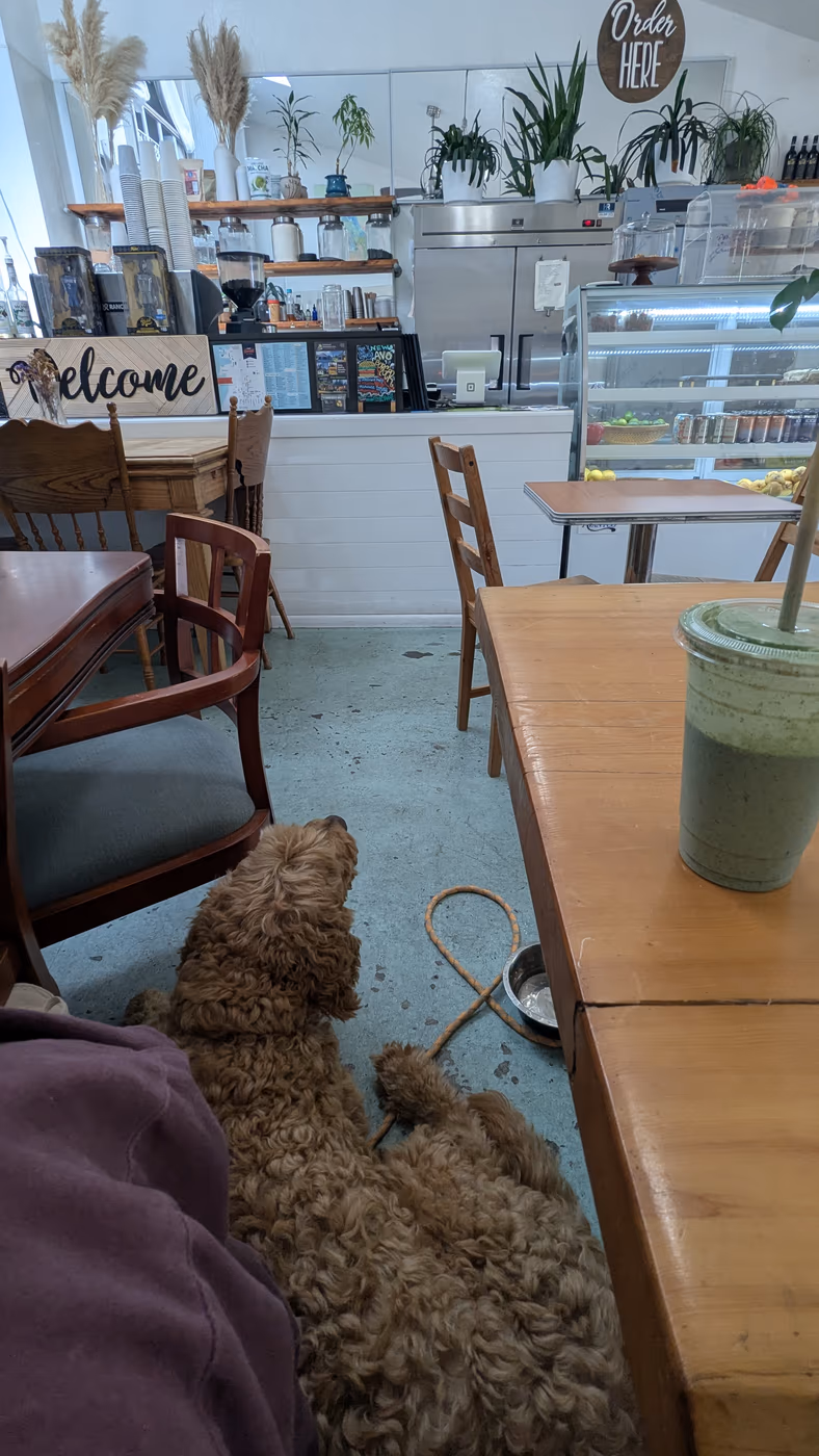 Cafe Wylde photo 4