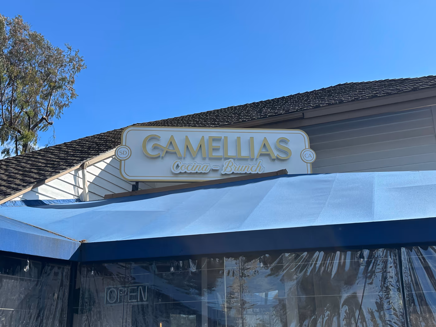 Camellias