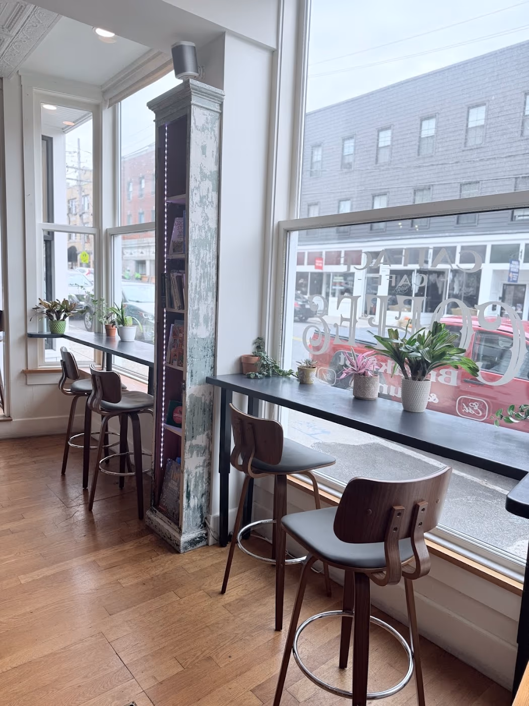 Catface Cafe photo 2
