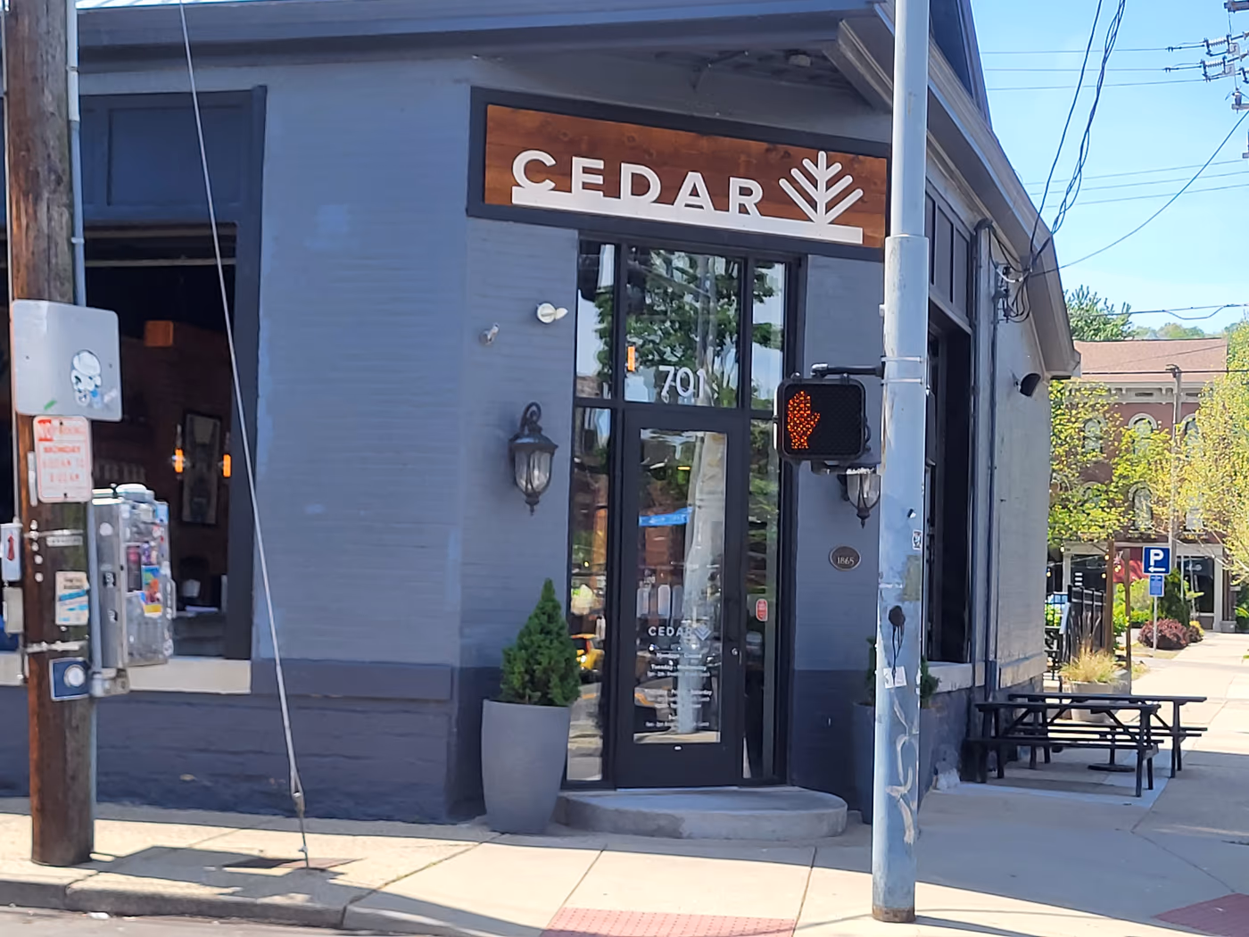 Cedar