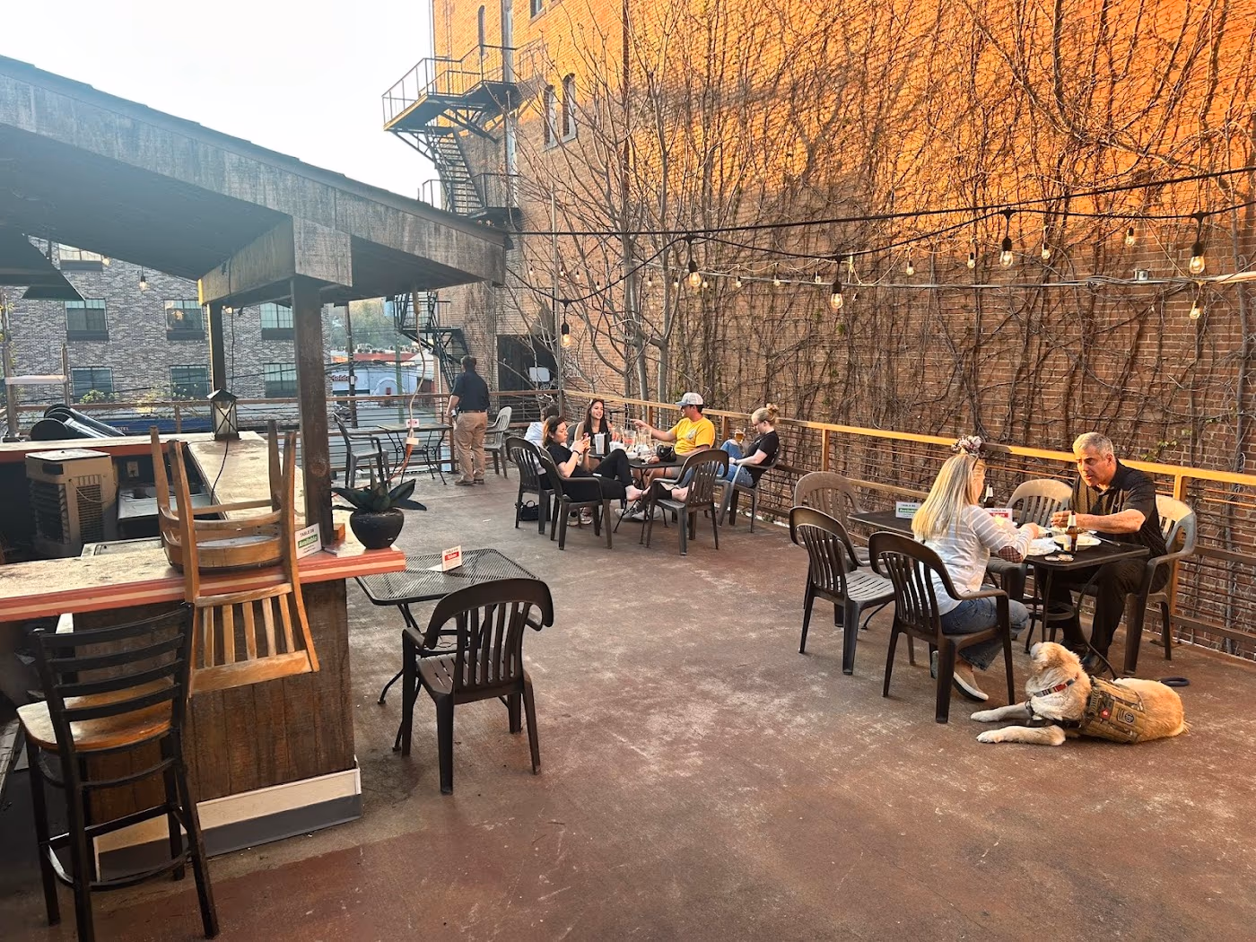 Chaang Thai DECK (DECK : OPEN. Need dely/Pckp before 11? We handle large catering orders for hospitals & Univ. depts)