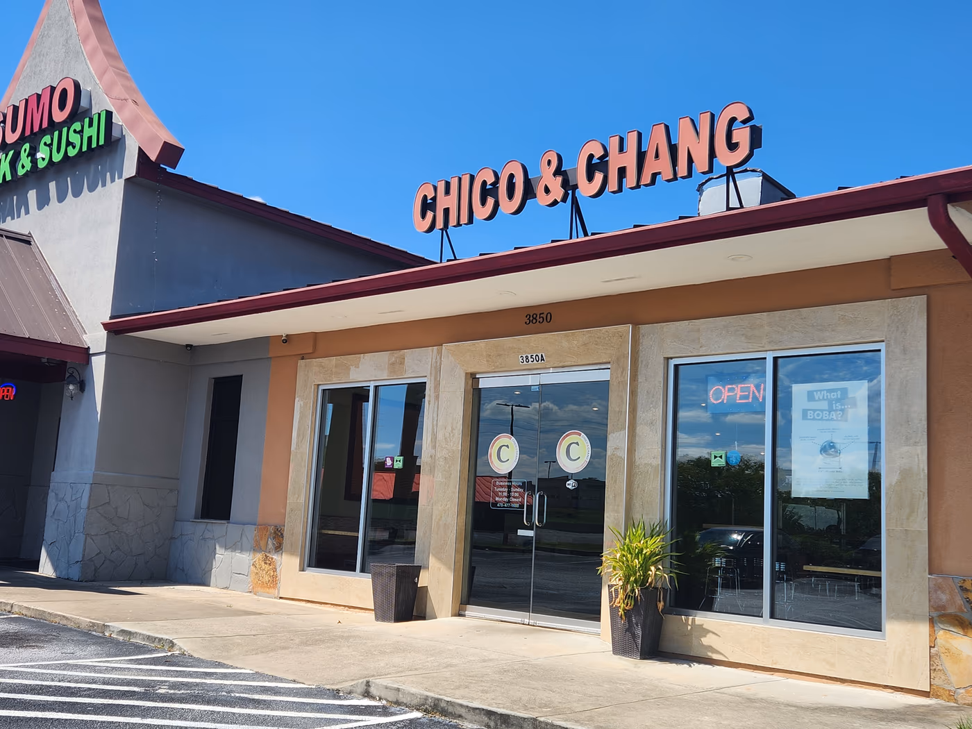 CHICO & CHANG photo 4