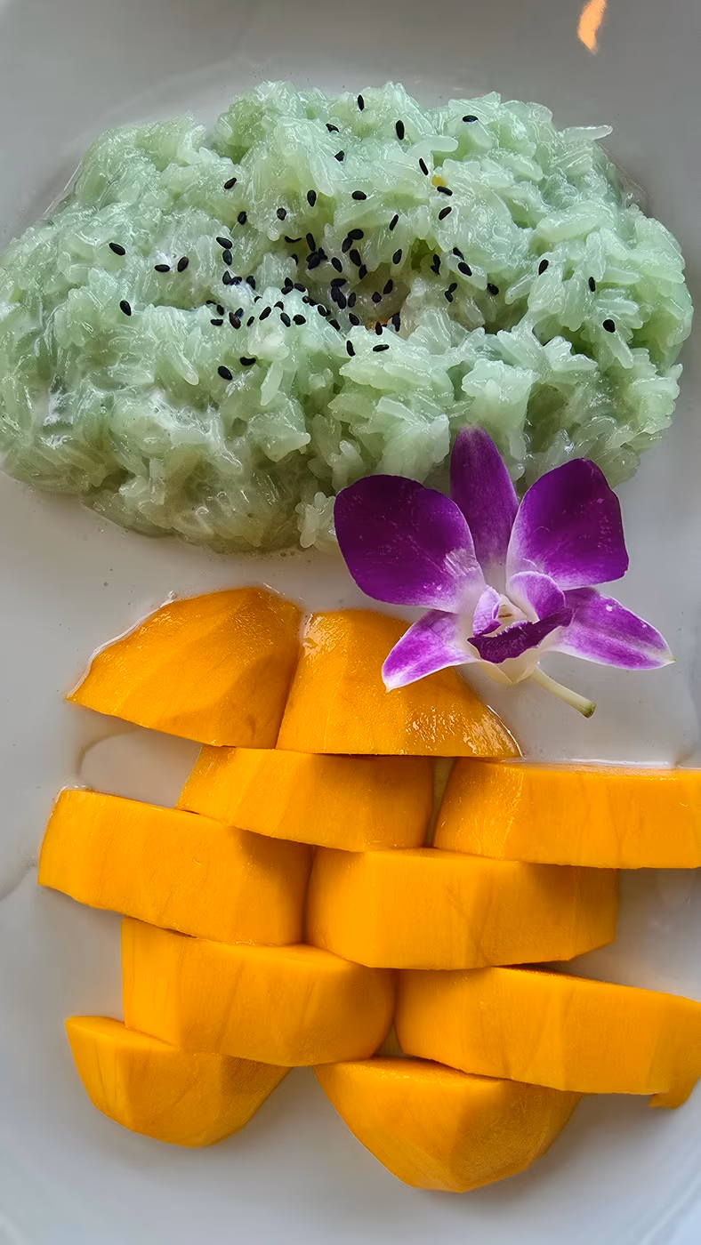 Cilantro Grill by Sip Saam Thai photo 2