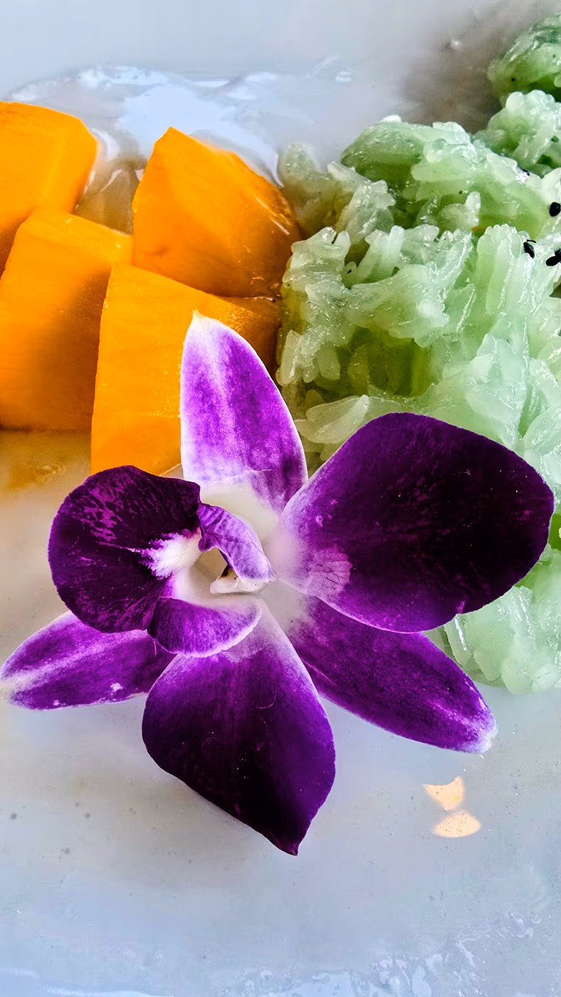 Cilantro Grill by Sip Saam Thai photo 3