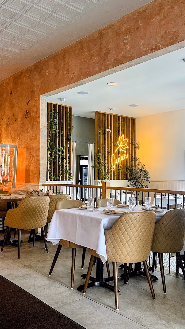 Cinar Turkish Restaurant 1