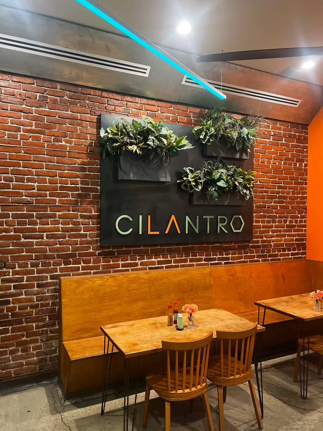 Cocina Cilantro